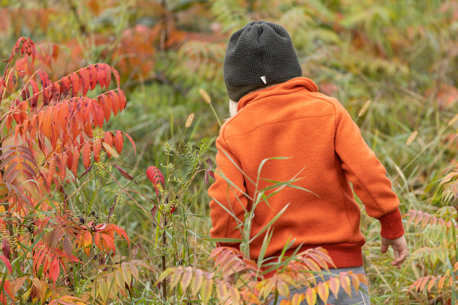 ハーフジップセーター、オーガニックメリノウール、Disana製