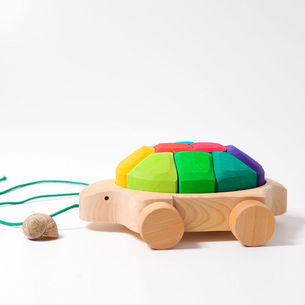 Grimms Rainbow Turtle