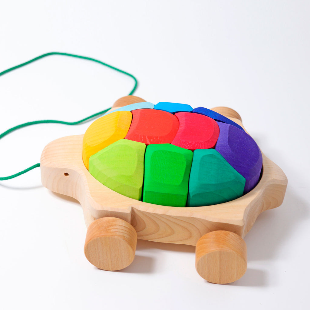 Grimms Rainbow Turtle